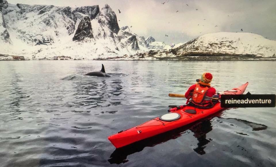 Cozy Apartment In The Middle Of Lofoten Leknes Bagian luar foto